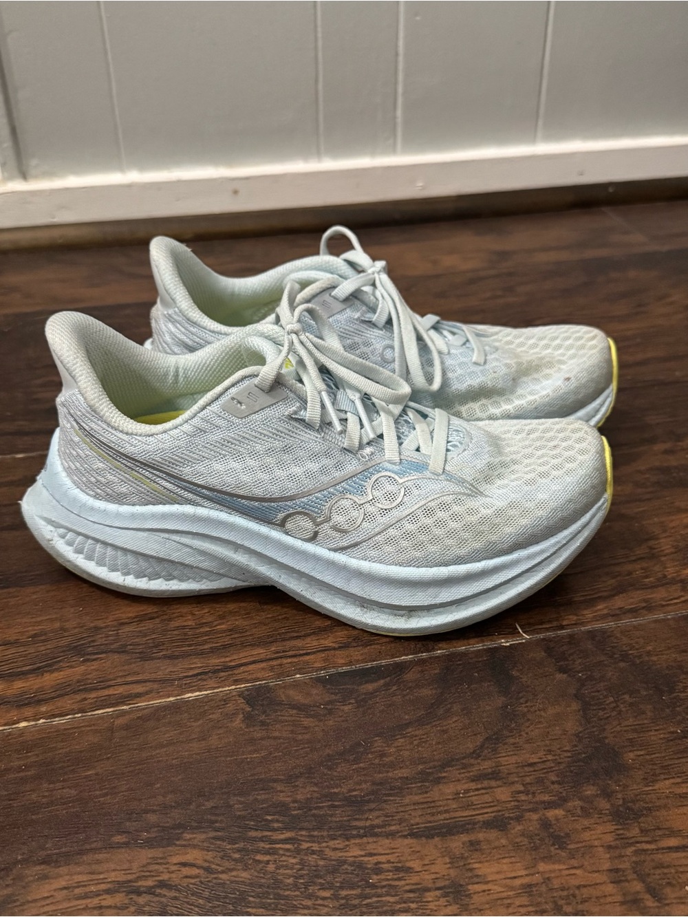 Saucony Endorphin